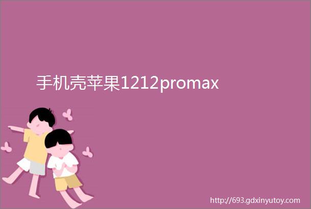 手机壳苹果1212promax