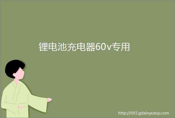 锂电池充电器60v专用