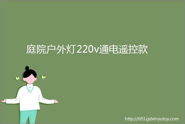 庭院户外灯220v通电遥控款