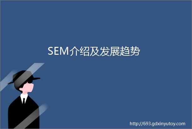 SEM介绍及发展趋势