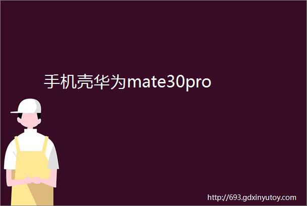 手机壳华为mate30pro