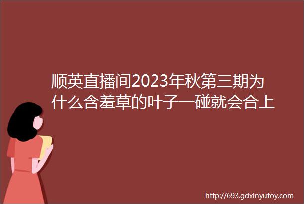 顺英直播间2023年秋第三期为什么含羞草的叶子一碰就会合上